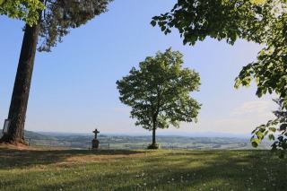 Obsèques écologiques : funérailles respectueuses de l'environnement